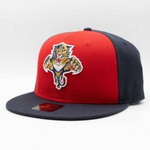 Florida Panthers - Team Logo Snapback NHL Hat