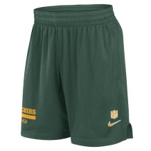 Green Bay Packers - 2024 Sideline Mesh NFL Shorts