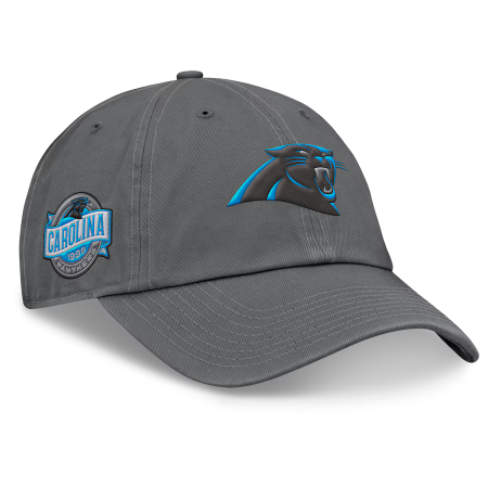 Carolina Panthers - Handoff Graphite NFL Hat