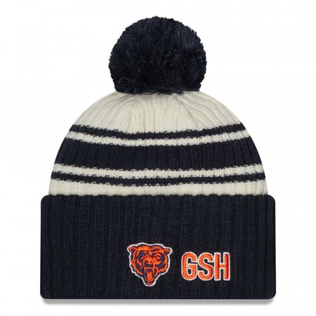 Chicago Bears - 2022 Sideline "B" NFL Knit hat