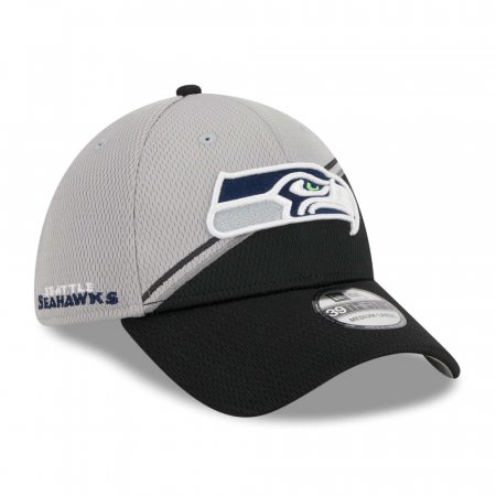 Seattle Seahawks - Colorway 2023 Sideline 39Thirty NFL Hat