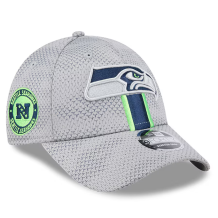 Seattle Seahawks - 2024 Sideline 9Forty Gray NFL Czapka