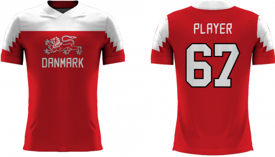 Denmark - 2018 Sublimated Fan T-Shirt with Name and Number