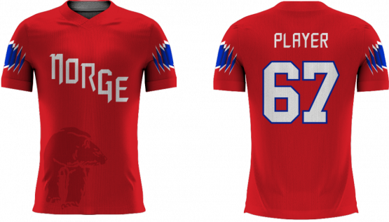 Norway - 2018 Sublimated Fan T-Shirt with Name and Number