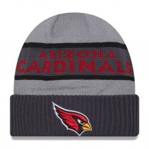 Arizona Cardinals - 2023 Sideline Tech NFL Wintermütze
