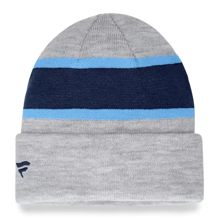 Tennessee Titans - Team Logo Gray NFL Knit Hat