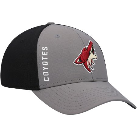 Arizona Coyotes - Wycliff NHL Hat