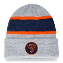 Chicago Bears - Team Logo Gray NFL Knit Hat