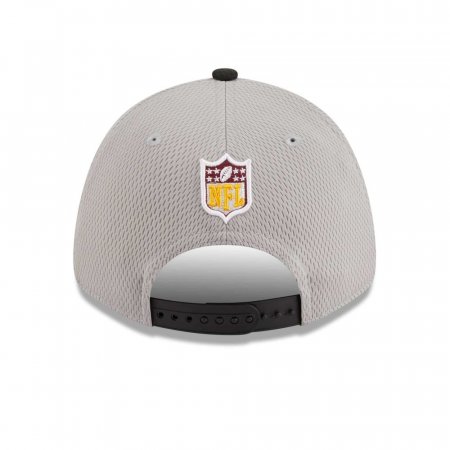 Washington Commanders - Colorway Sideline 9Forty NFL Hat gray