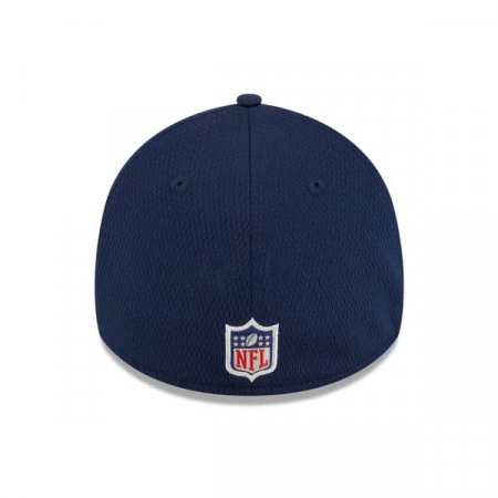Seattle Seahawks - 2023 Training Camp 39Thirty Flex NFL Hat