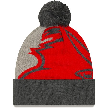 Tampa Bay Buccaneers - Logo Whiz NFL zimná čiapka