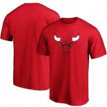 Chicago Bulls - Primary Logo NBA T-Shirt