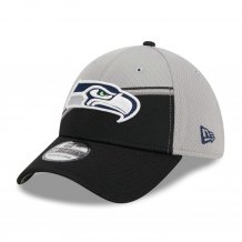 Seattle Seahawks - Colorway 2023 Sideline 39Thirty NFL Hat