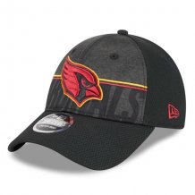 Arizona Cardinals - 2023 Training Camp 9Forty NFL Cap