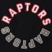 Toronto Raptors - Wordmark Reflection NBA Koszulka