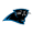 Carolina Panthers