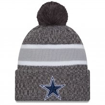 Dallas Cowboys - 2023 Sideline Sport Gray NFL Zimná čiapka