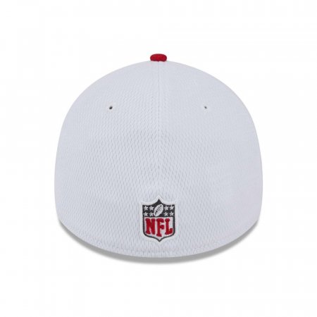 Tampa Bay Buccaneers - On Field 2023 Sideline 39Thirty NFL Hat