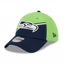 Seattle Seahawks - Secondary 2023 Sideline 39Thirty NFL Hat