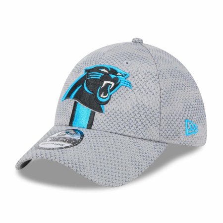 Carolina Panthers - 2024 Sideline Gray 39Thirty NFL Czapka