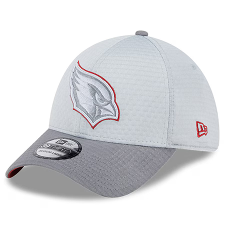 Arizona Cardinals - 2024 Training Camp Gray 39Thirty NFL Cap