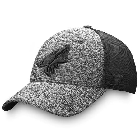 Arizona Coyotes - Authentic Pro Trucker Flex NHL Hat