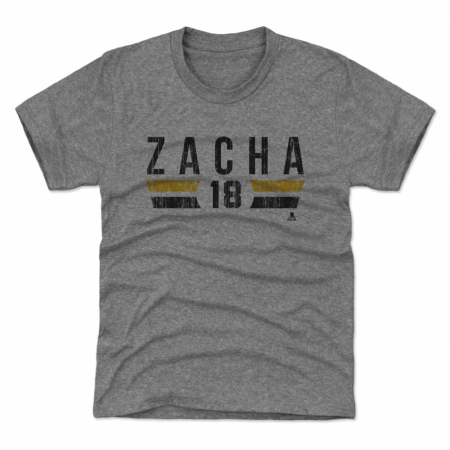 Boston Bruins Youth - Pavel Zacha Font Gray NHL T-Shirt