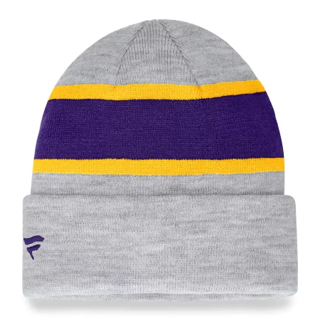 Minnesota Vikings - Team Logo Gray NFL Knit Hat