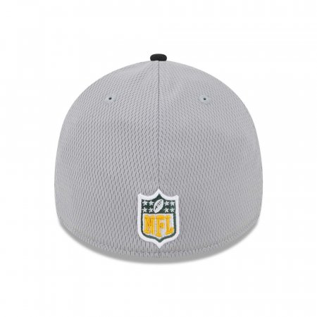 Green Bay Packers - Colorway 2023 Sideline 39Thirty NFL Czapka