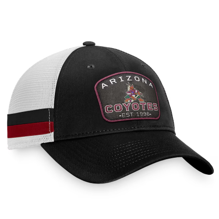 Arizona Coyotes - Fundamental Stripe Trucker NHL Cap