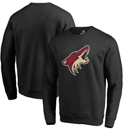 Arizona Coyotes - Primary Logo NHL Sweatshirt