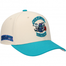 Charlotte Hornets - Game On 2-Tone NBA Hat