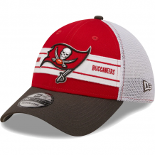 Tampa Bay Buccaneers - Team Branded 39Thirty NFL Hat