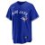 Toronto Blue Jays - Alternate Replica MLB Jersey