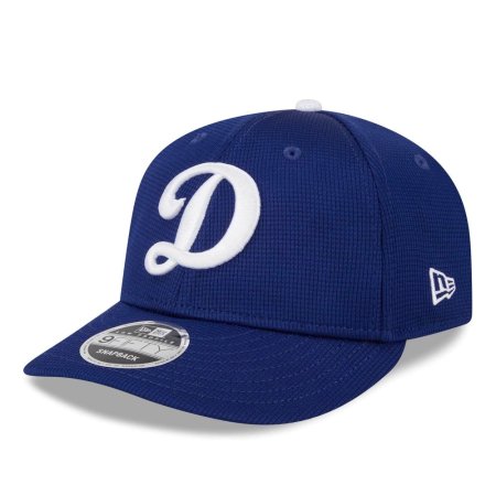 Los Angeles Dodgers - 2024 Spring Training Low Profile 9Fifty MLB Kšiltovka