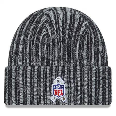Philadelphia Eagles - 2023 Salute to Service Cuffed NFL Knit hat