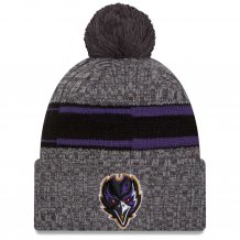 Baltimore Ravens - 2023 Sideline Sport Gray NFL Knit hat