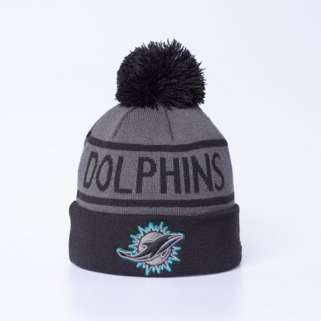 Miami Dolphins - Storm NFL Knit hat