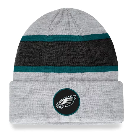 Philadelphia Eagles - Team Logo Gray NFL Knit Hat