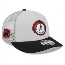 Arizona Cardinals - 2023 Sideline Historic Low Profile 9Fifty NFL Hat