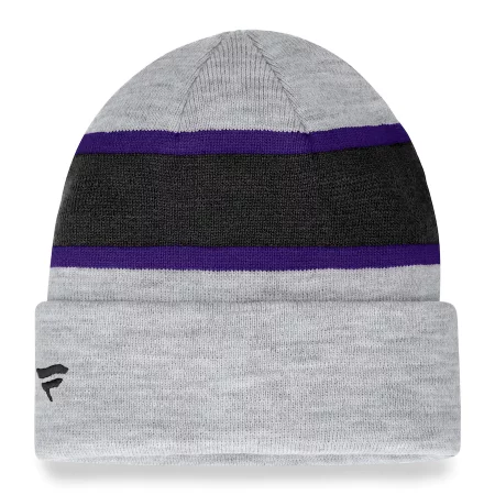 Baltimore Ravens - Team Logo Gray NFL Knit Hat