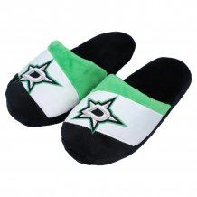 Dallas Stars Youth - Colorblock NHL Slippers