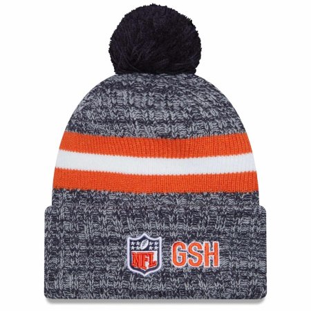 Chicago Bears - 2023 Sideline Sport NFL Knit hat