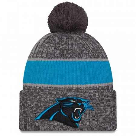 Carolina Panthers - 2023 Sideline Sport Gray NFL Knit hat