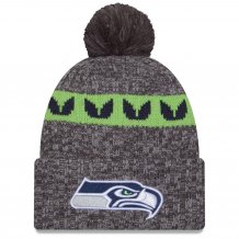Seattle Seahawks - 2023 Sideline Sport Gray NFL Knit hat