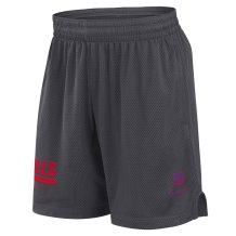 Buffalo Bills - 2024 Sideline Mesh NFL Shorts