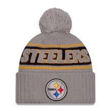 Pittsburgh Steelers - 2024 Sideline Sport Gray NFL Wintermütze