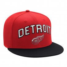Detroit Red Wings - Arch Logo Two-Tone NHL Czapka