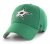 Dallas Stars - Team MVP Green NHL Czapka