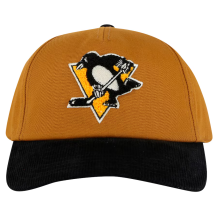 Pittsburgh Penguins - Burnett NHL Cap
